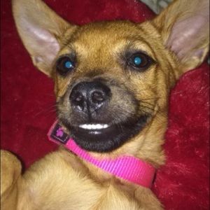 Meet your Posher, Adriana